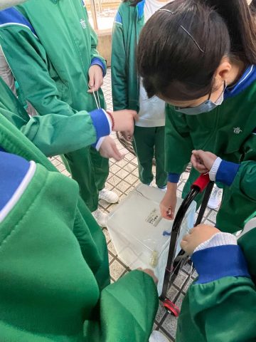 北區城市歷奇 - 2